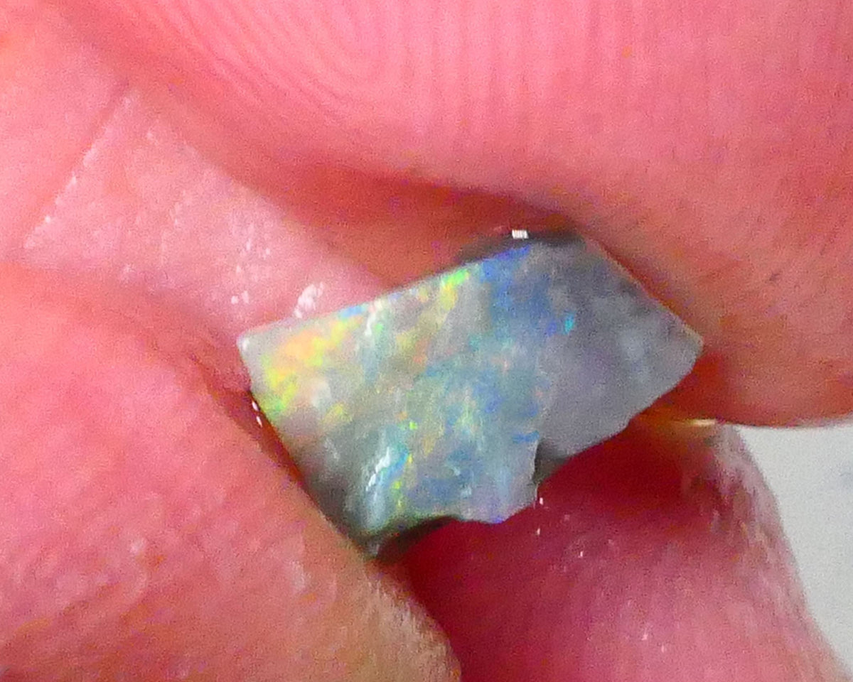 Red & yellows saying expose me now :) 0.70cts Small Lightning Ridge opal rough to cut a stunning pointer 8x5x2.5mm Lot B4-A763