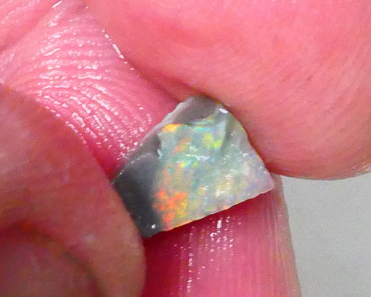 Red & yellows saying expose me now :) 0.70cts Small Lightning Ridge opal rough to cut a stunning pointer 8x5x2.5mm Lot B4-A763