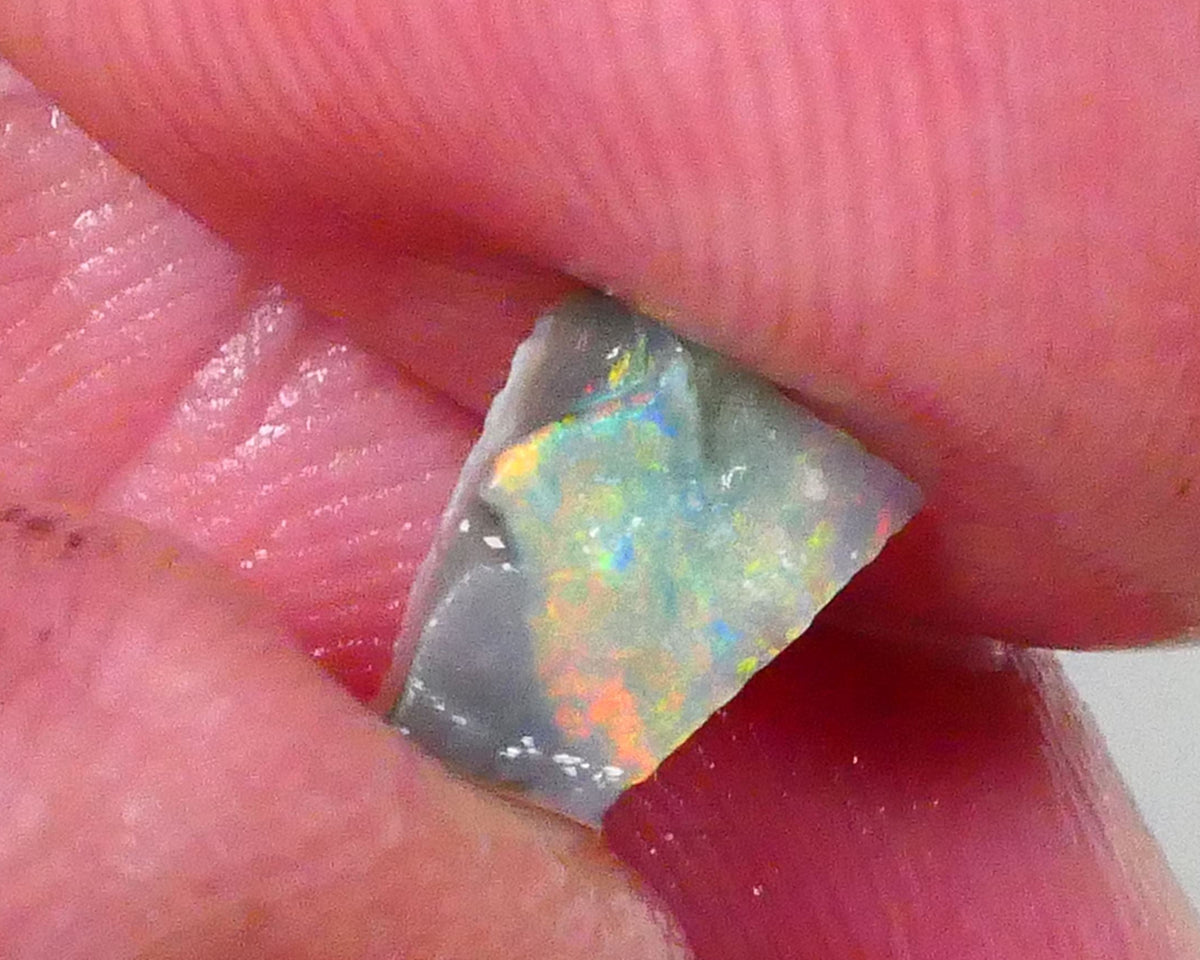 Red & yellows saying expose me now :) 0.70cts Small Lightning Ridge opal rough to cut a stunning pointer 8x5x2.5mm Lot B4-A763