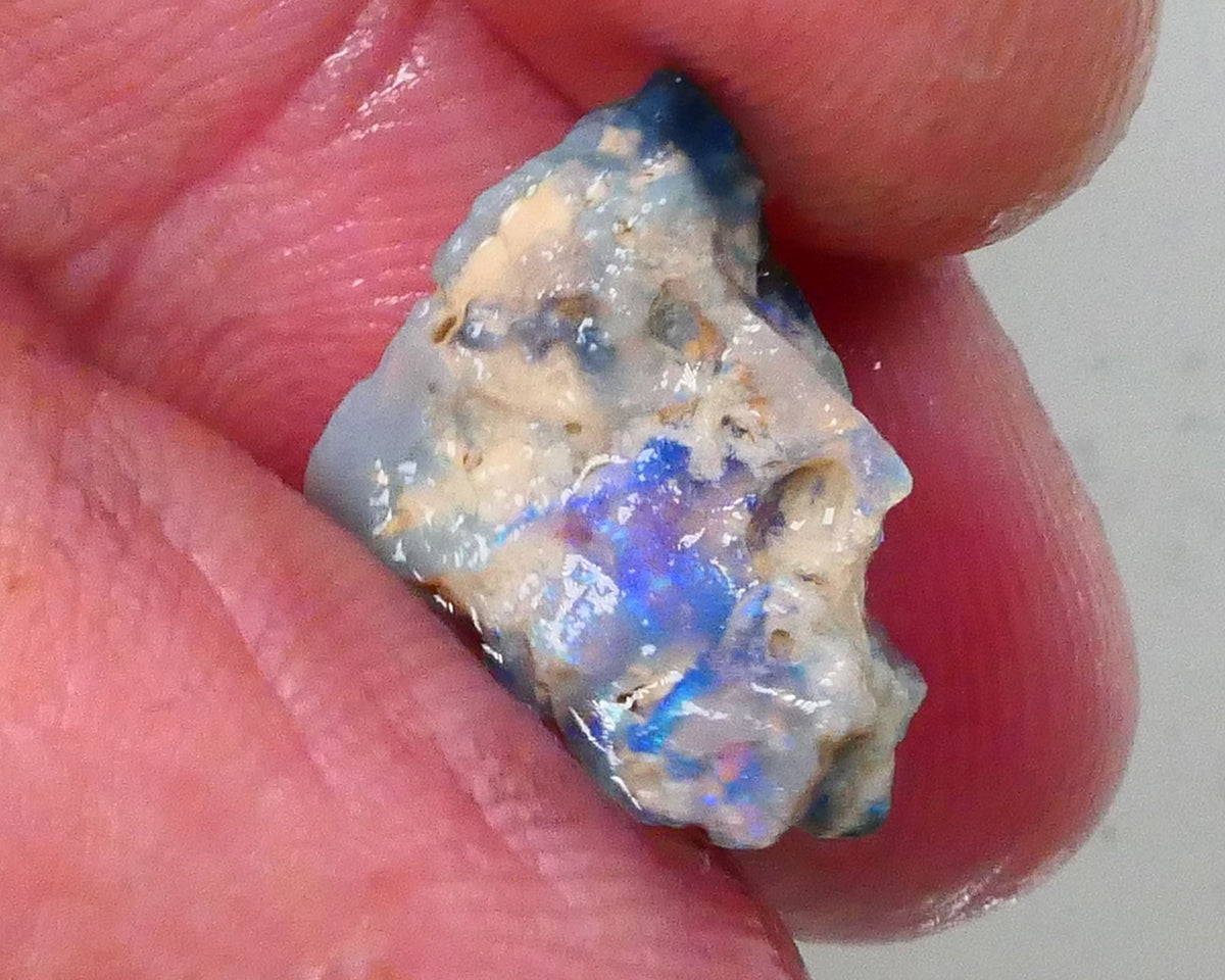 Gorgeous Greens & blues to cut & Polish 3.60cts Piece of a Lightning Ridge Dark base knobby opal rough 14x11x7mm  Lot B4-A758