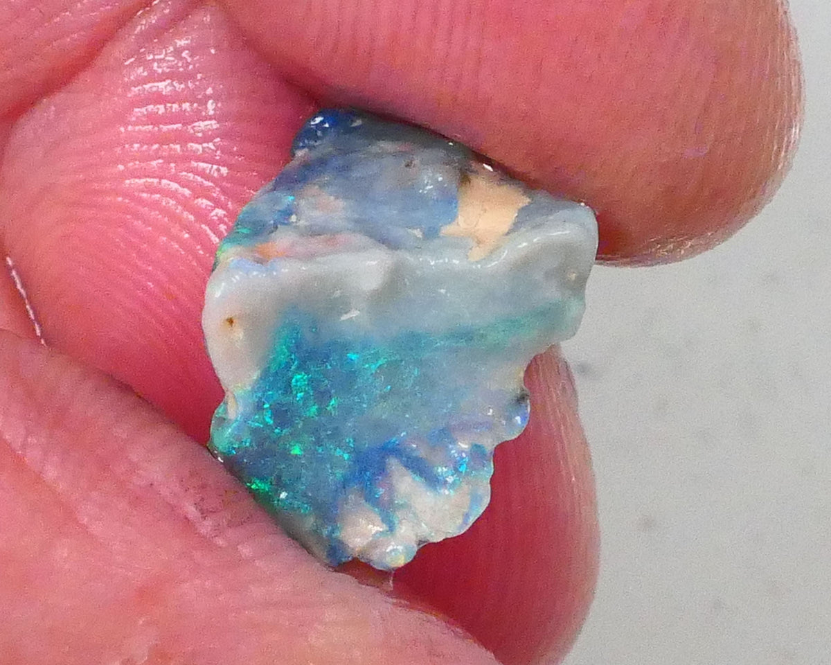 Gorgeous Greens & blues to cut & Polish 3.60cts Piece of a Lightning Ridge Dark base knobby opal rough 14x11x7mm  Lot B4-A758