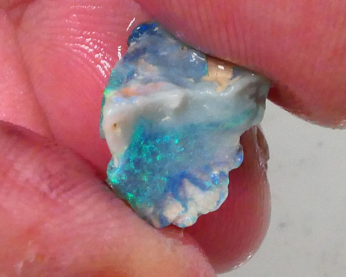 Gorgeous Greens & blues to cut & Polish 3.60cts Piece of a Lightning Ridge Dark base knobby opal rough 14x11x7mm  Lot B4-A758