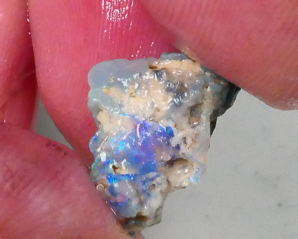 Gorgeous Greens & blues to cut & Polish 3.60cts Piece of a Lightning Ridge Dark base knobby opal rough 14x11x7mm  Lot B4-A758
