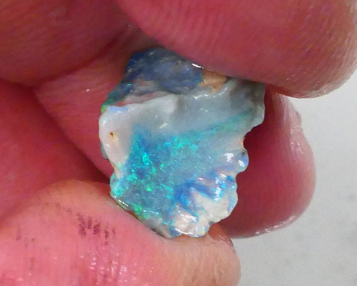 Gorgeous Greens & blues to cut & Polish 3.60cts Piece of a Lightning Ridge Dark base knobby opal rough 14x11x7mm  Lot B4-A758