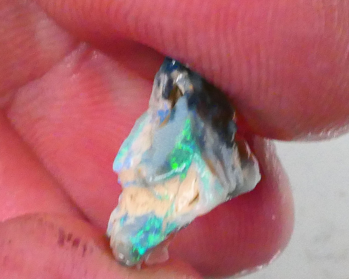 Gorgeous Greens & blues to cut & Polish 3.60cts Piece of a Lightning Ridge Dark base knobby opal rough 14x11x7mm  Lot B4-A758