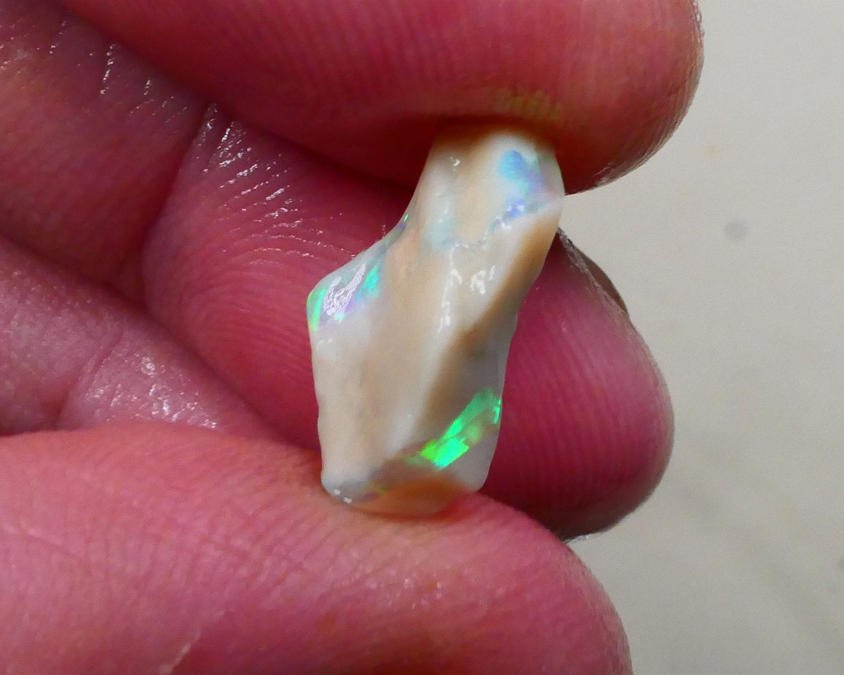 Bid-4.com Bid for Australian opal £1 No Reserve Auctions Details to come Lot B4-A802