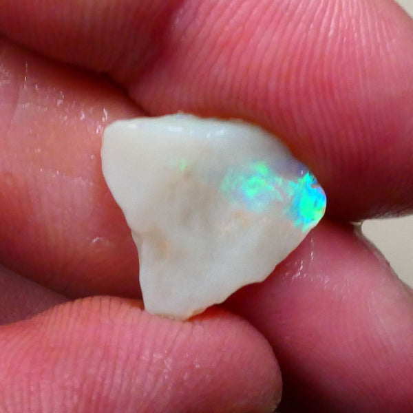 Grey base Seam opal rough 3.75ctys Vertical type colour bar Green & Blues to cut 15x14x3mm Lot B4-A800