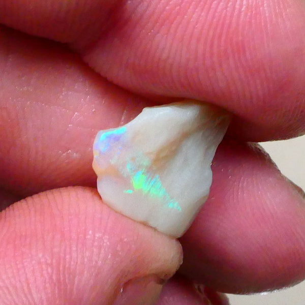 Grey base Seam opal rough 3.75ctys Vertical type colour bar Green & Blues to cut 15x14x3mm Lot B4-A800