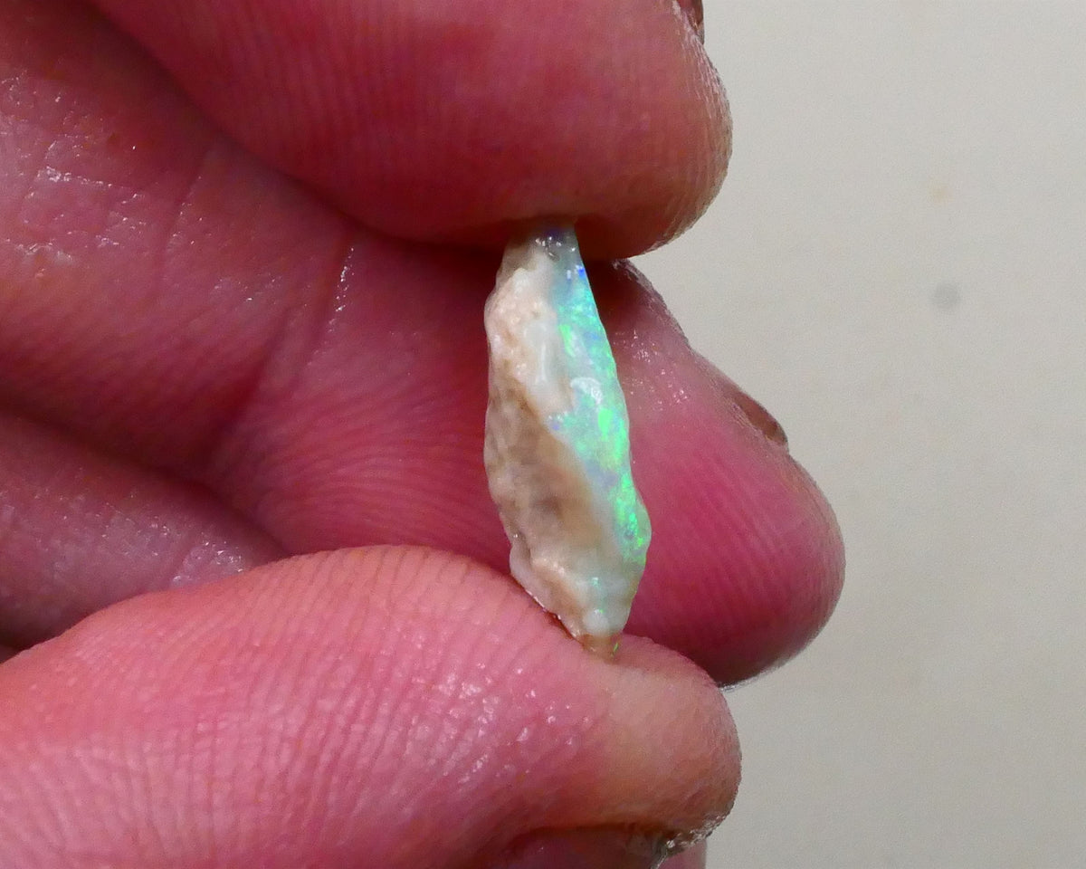 Bid-4.com Bid for Australian opal £1 No Reserve Auctions Details to come Lot B4-A799