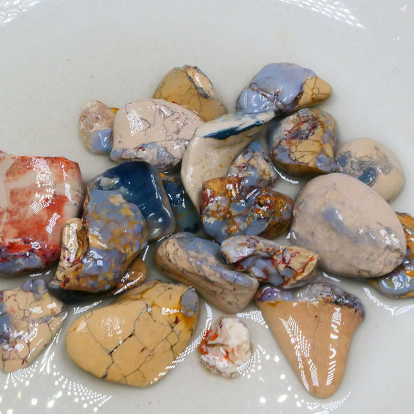 Bid-4.com Bid for Australian opal £1 No Reserve Auctions Details to come Lot B4-A830