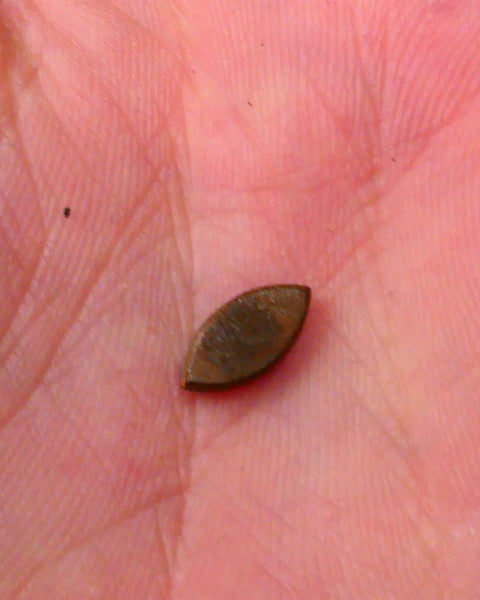 DOUBLET Bid-4.com Bid for Australian opal raw/rough/rubbed/polished £1 No Reserve Auctions Details to come Lot B4-A881