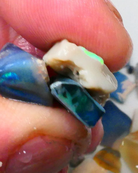 Bid-4.com Bid for Australian opal raw/rough/rubbed/polished £1 No Reserve Auctions Details to come Lot B4-A879