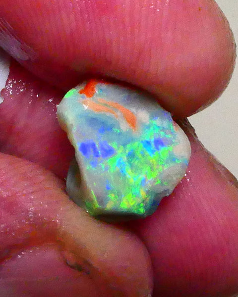 Bid-4.com Bid for Australian opal raw/rough/rubbed/polished £1 No Reserve Auctions Details to come Lot B4-A895