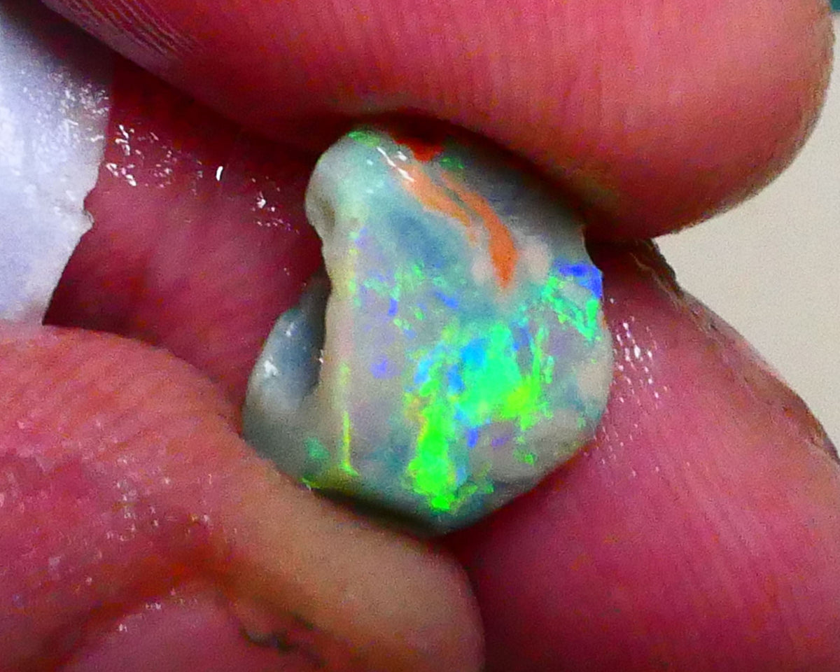 Bid-4.com Bid for Australian opal raw/rough/rubbed/polished £1 No Reserve Auctions Details to come Lot B4-A895