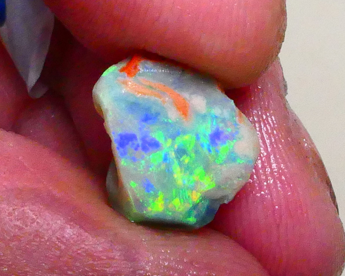 Bid-4.com Bid for Australian opal raw/rough/rubbed/polished £1 No Reserve Auctions Details to come Lot B4-A895