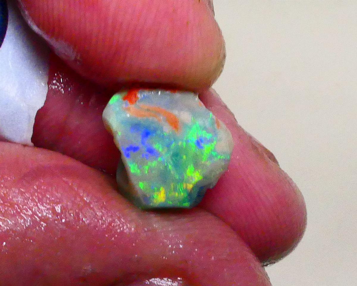 Bid-4.com Bid for Australian opal raw/rough/rubbed/polished £1 No Reserve Auctions Details to come Lot B4-A895
