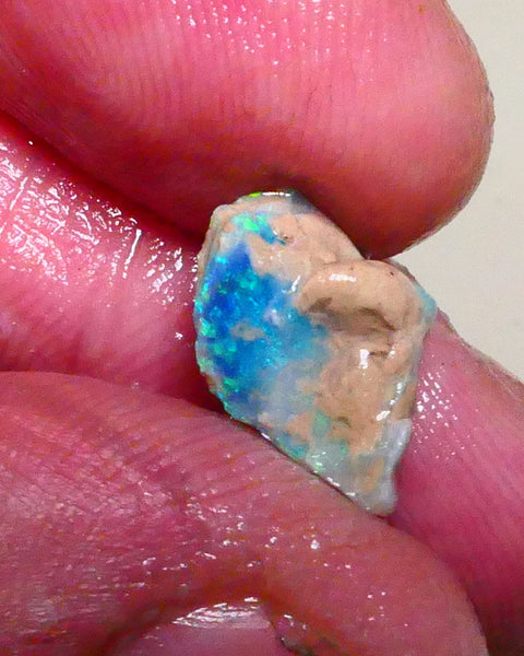 Bid-4.com Bid for Australian opal raw/rough/rubbed/polished £1 No Reserve Auctions Details to come Lot B4-A893