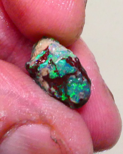 Bid-4.com Bid for Australian opal raw/rough/rubbed/polished £1 No Reserve Auctions Details to come Lot B4-A892