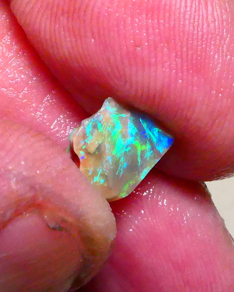 Bid-4.com Bid for Australian opal raw/rough/rubbed/polished £1 No Reserve Auctions Details to come Lot B4-A891