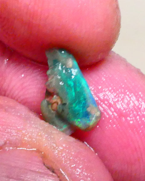 Bid-4.com Bid for Australian opal raw/rough/rubbed/polished £1 No Reserve Auctions Details to come Lot B4-A889