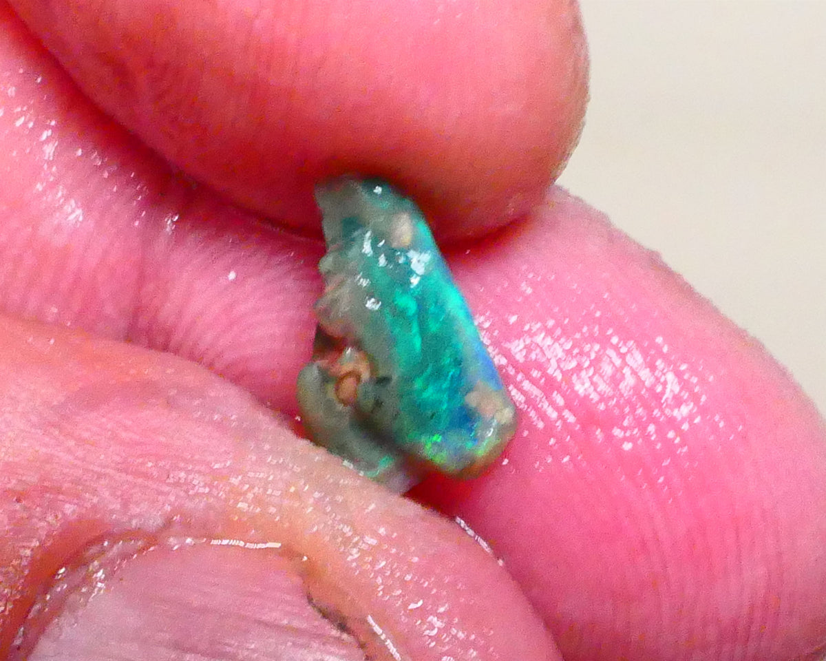 Bid-4.com Bid for Australian opal raw/rough/rubbed/polished £1 No Reserve Auctions Details to come Lot B4-A889