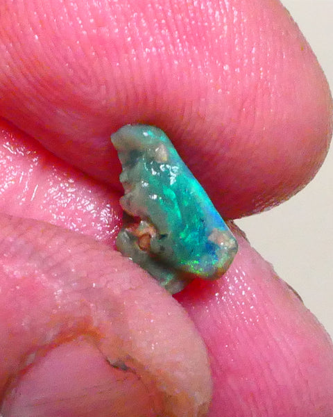 Bid-4.com Bid for Australian opal raw/rough/rubbed/polished £1 No Reserve Auctions Details to come Lot B4-A889