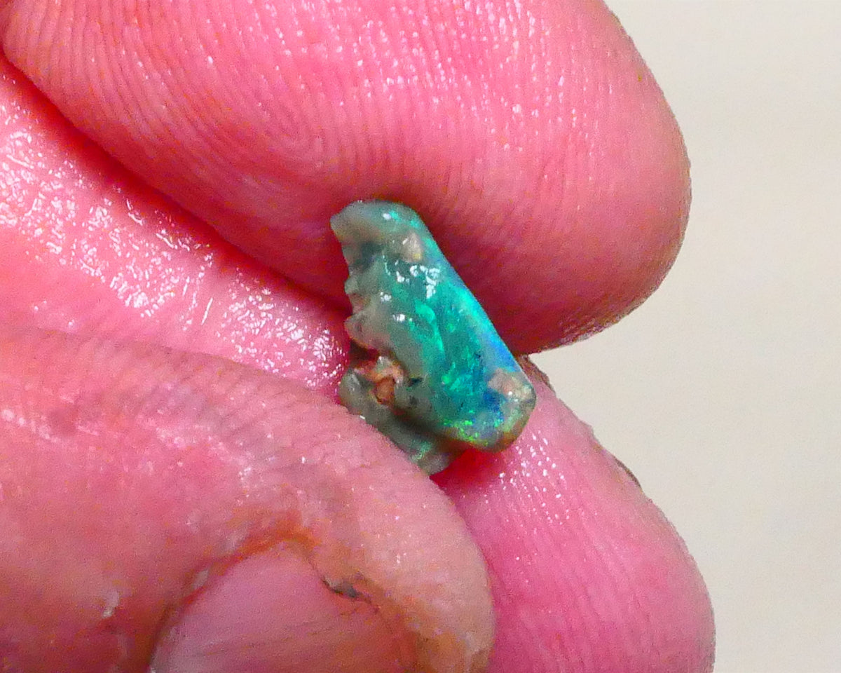 Bid-4.com Bid for Australian opal raw/rough/rubbed/polished £1 No Reserve Auctions Details to come Lot B4-A889