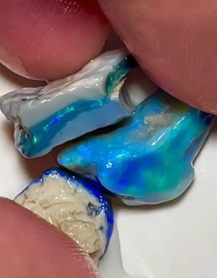 Bid-4.com Bid for Australian opal £1 No Reserve Auction Lightning Ridge 21.75cts 20x11x9 to 15x10x6 mm Lot B4-A824