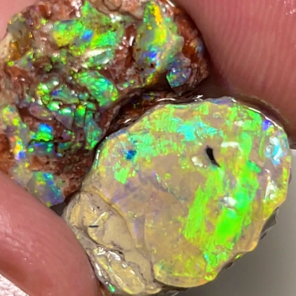 Lightning Ridge Gorgeous Knobby formation pair 17.25cts Rough opal Stunning Bright colours 20x10x9mm & 20x12x4mm    Lot B4-A119