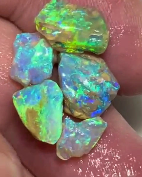 Lightning Ridge 12.75cts 15x10x6 to 13x7x4 mm Bid-4.com Bid for Australian opal raw/rough/rubbed/polished £1 No Reserve Auctions Details to come Lot B4-A859