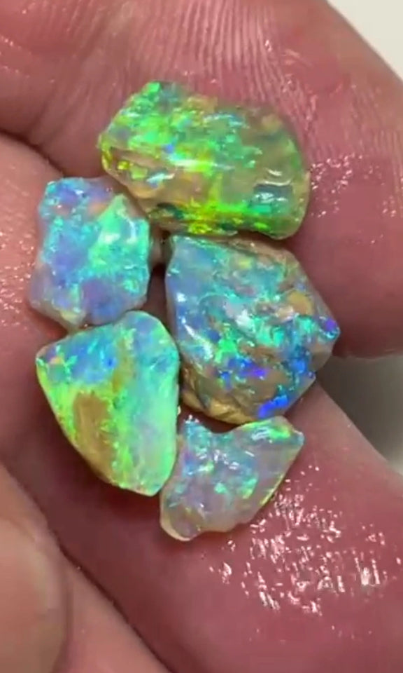 Lightning Ridge 12.75cts 15x10x6 to 13x7x4 mm Bid-4.com Bid for Australian opal raw/rough/rubbed/polished £1 No Reserve Auctions Details to come Lot B4-A859