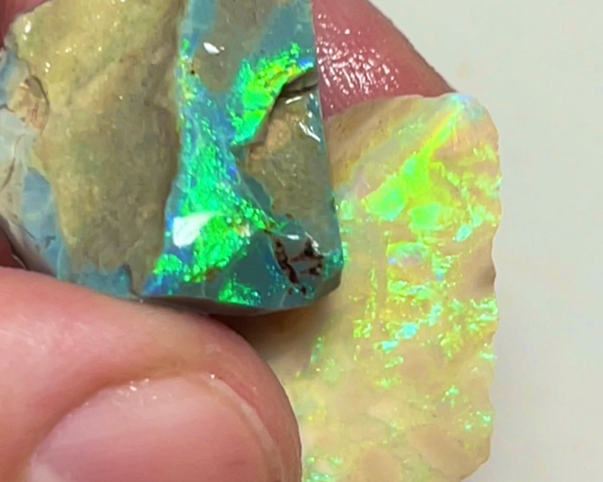 Lightning Ridge Rubs/rough 45.75cts 25x18x9mm & 22x17x10mmm Bid-4.com Bid for Australian opal raw/rough/rubbed/polished £1 No Reserve Auctions Details to come Lot B4-A862