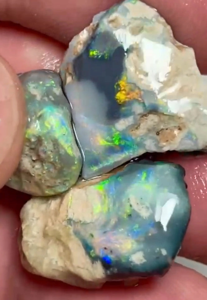 Lightning Ridge rub/rough 30.75cts 22x15x9mm to 14x13x7 mm Bid-4.com Bid for Australian opal raw/rough/rubbed/polished £1 No Reserve Auctions Details to come Lot B4-A868