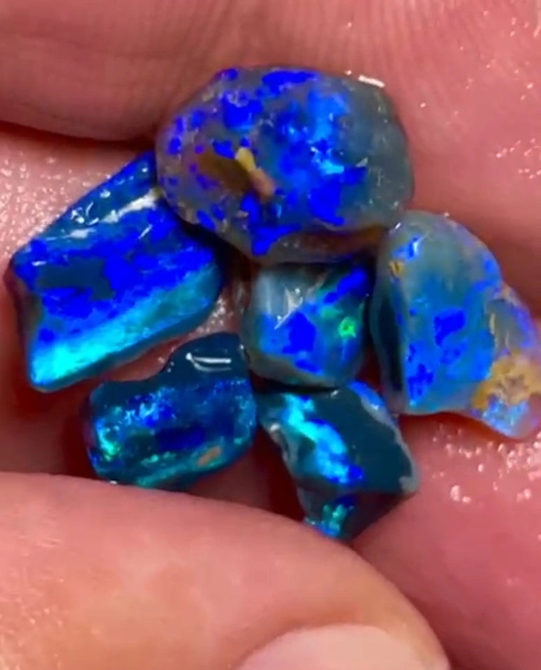 Lightning Ridge 10.75cts  11x7x4 to 8x4x3 mm Bid-4.com Bid for Australian opal raw/rough/rubbed/polished £1 No Reserve Auctions Details to come Lot B4-A871