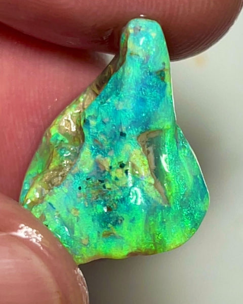 Coocoran Knobby/Fossil 12.40cts  20x17x9 mm Bid-4.com Bid for Australian opal raw/rough/rubbed/polished £1 No Reserve Auctions Details to come Lot B4-A866