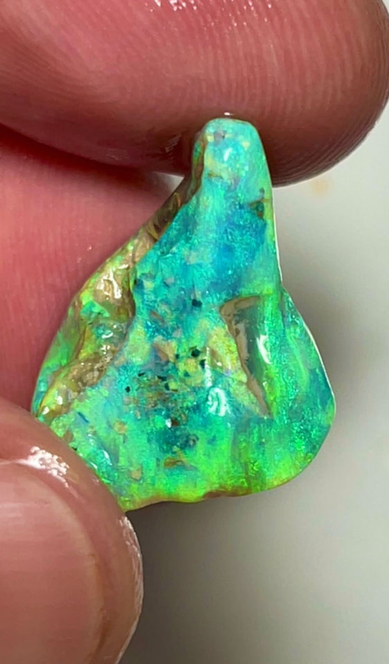 Coocoran Knobby/Fossil 12.40cts  20x17x9 mm Bid-4.com Bid for Australian opal raw/rough/rubbed/polished £1 No Reserve Auctions Details to come Lot B4-A866