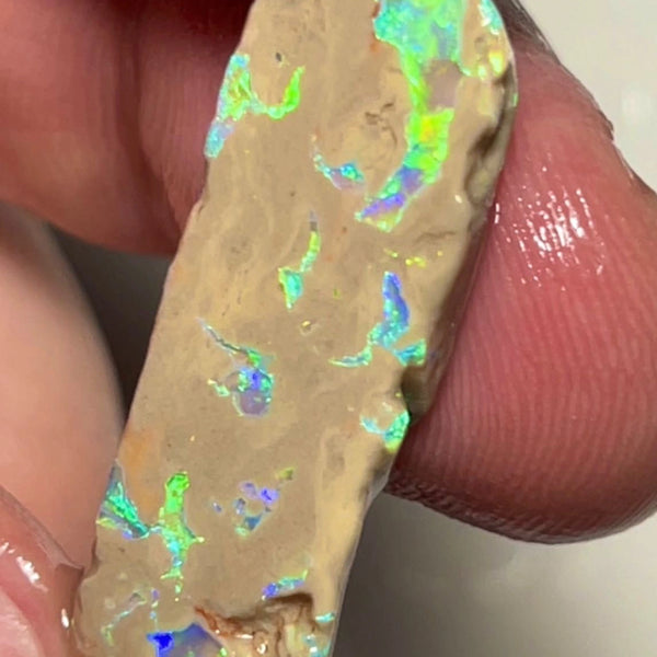 Lightning Ridge Opal formation rough slice 11.90cts Bright Multicolours scattered through out 28x10x4mm Lot B4-A151