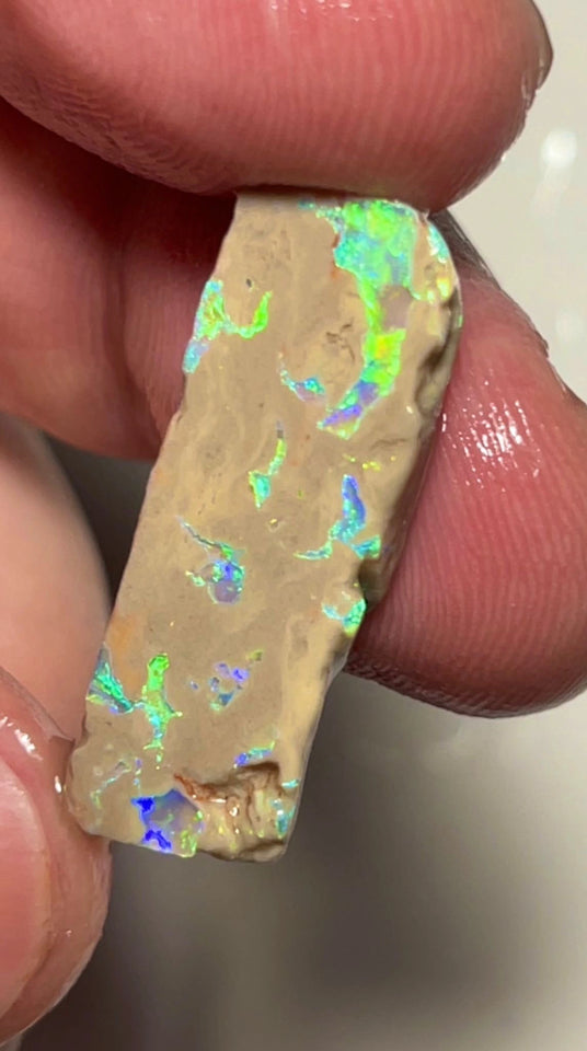 Lightning Ridge Opal formation rough slice 11.90cts Bright Multicolours scattered through out 28x10x4mm Lot B4-A151